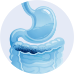 images of gastrointestinal