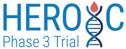 Vaderis_HEROIC_4.6_Logo@2x