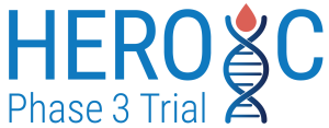 Vaderis_HEROIC_4.6_Logo@2x